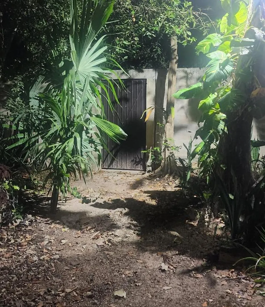 Casa Itzamna C1 Retreat Tulum Hotel